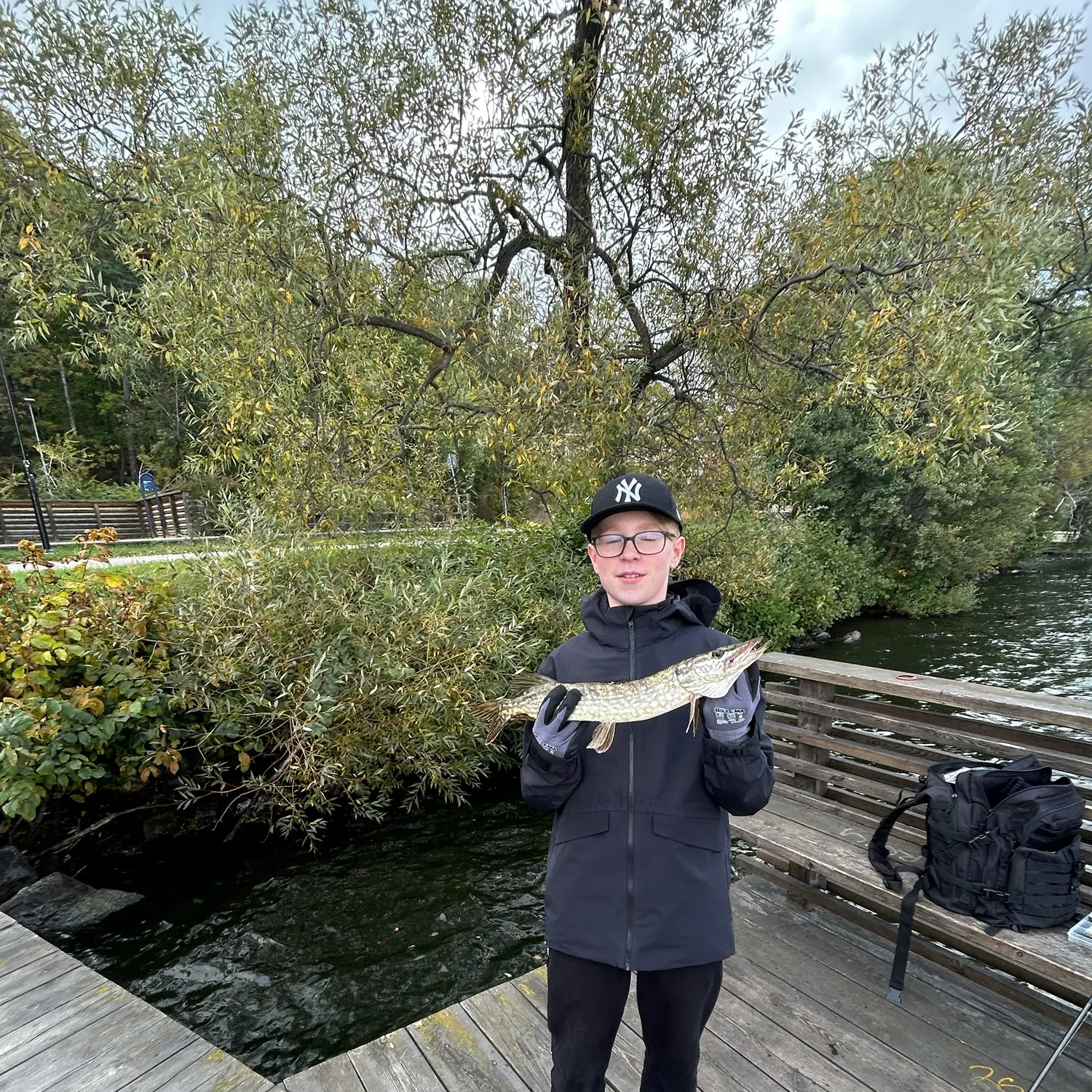 Northern pike caught on Fishbrain