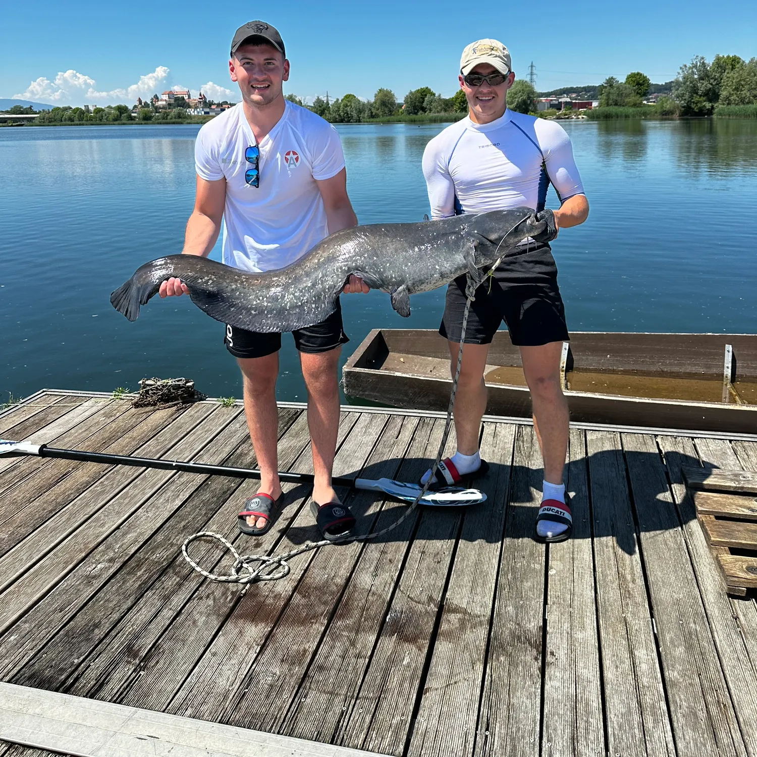 The most recent Wels catfish catches on Fishbrain