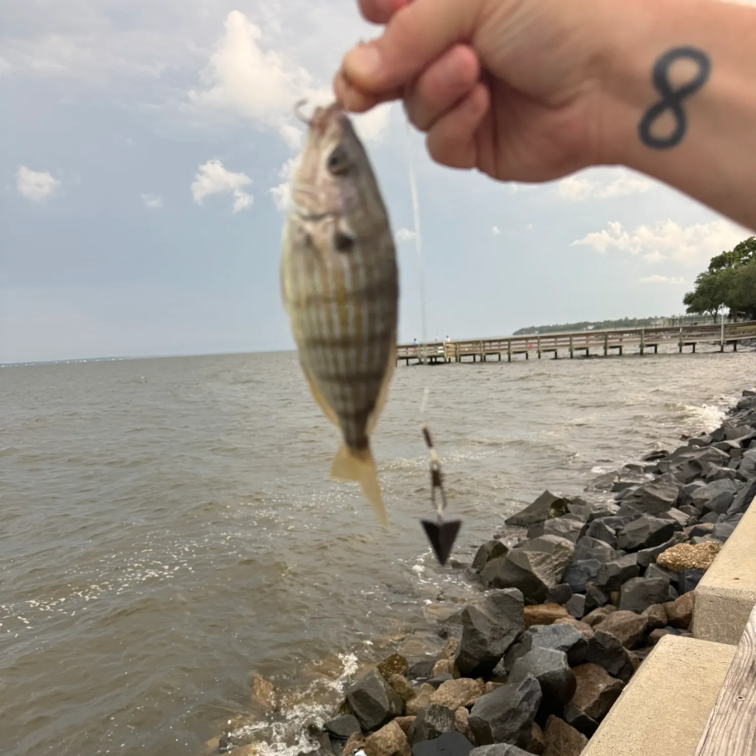 The most recent Redbelly tilapia catches on Fishbrain