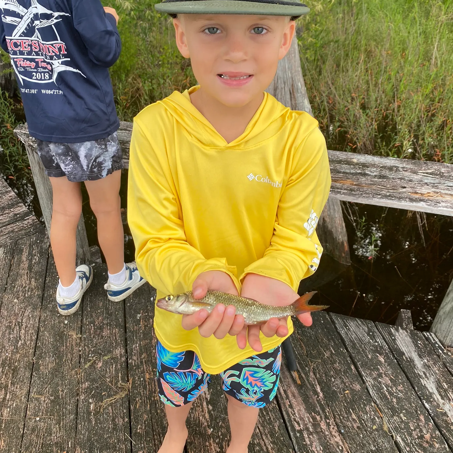The most recent Topeka shiner catches on Fishbrain
