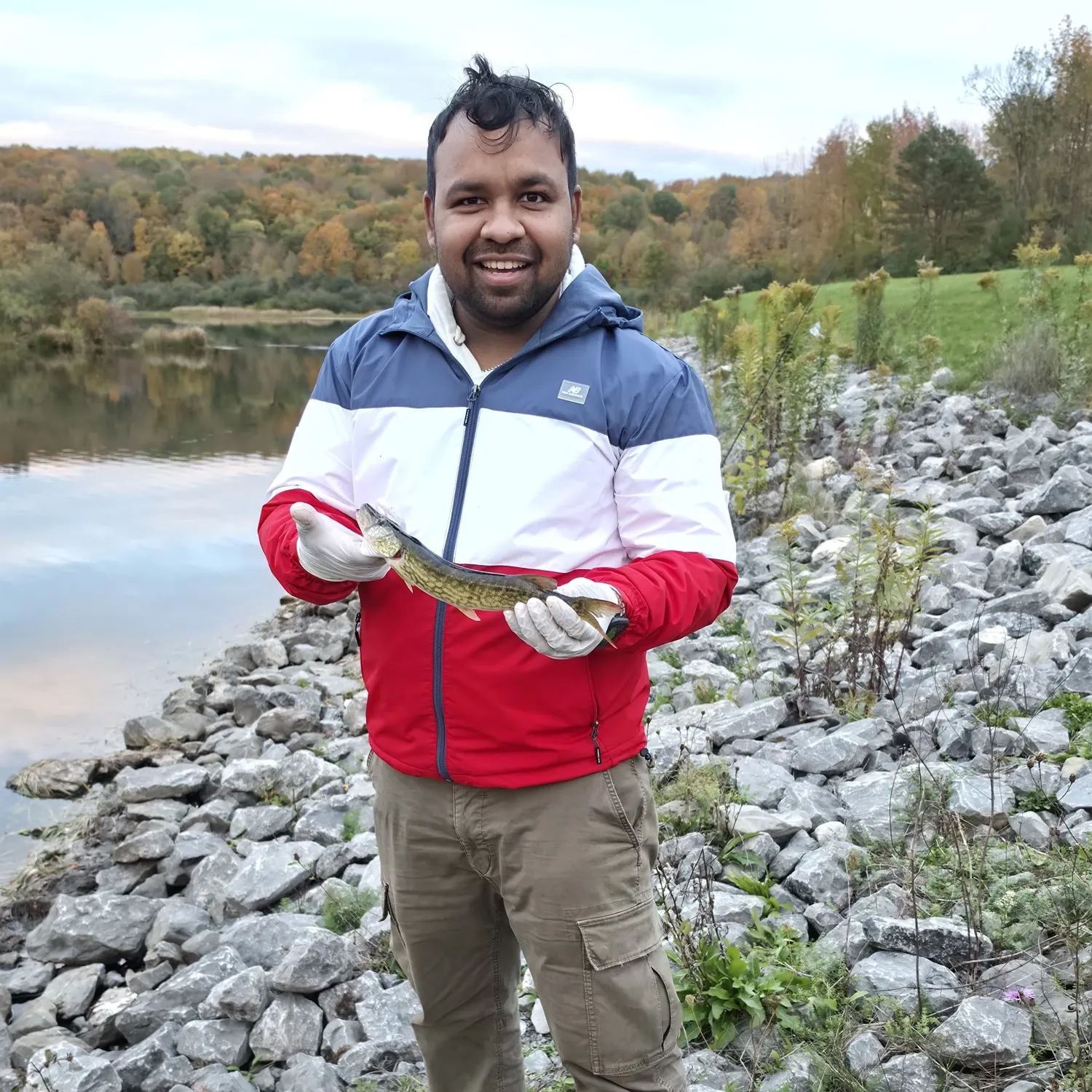 The most recent Chain pickerel catches on Fishbrain