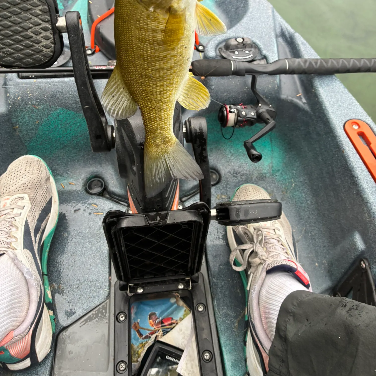 Smallmouth bass caught on Fishbrain