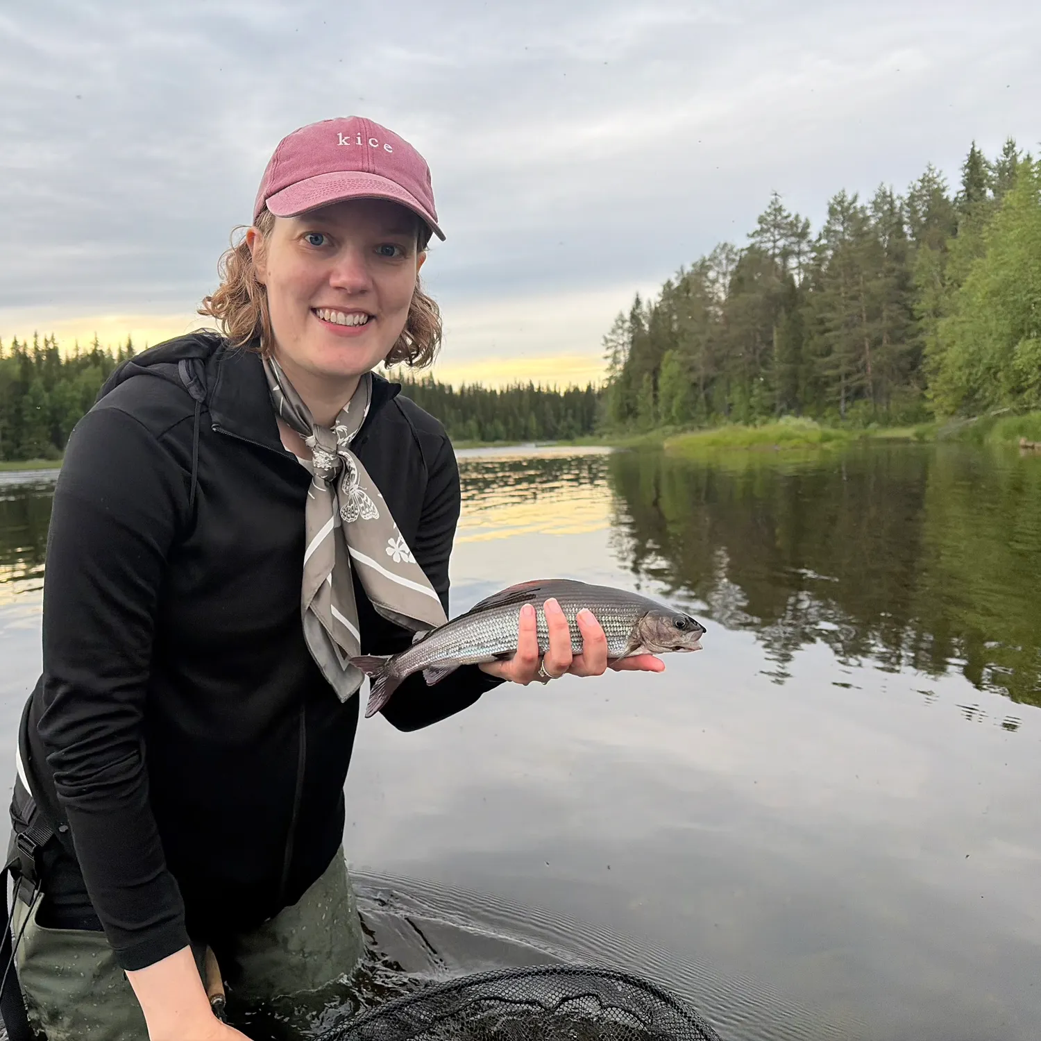 The most recent European grayling catches on Fishbrain