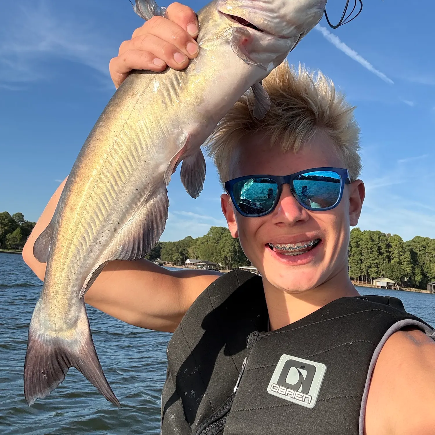 Blue catfish caught on Fishbrain