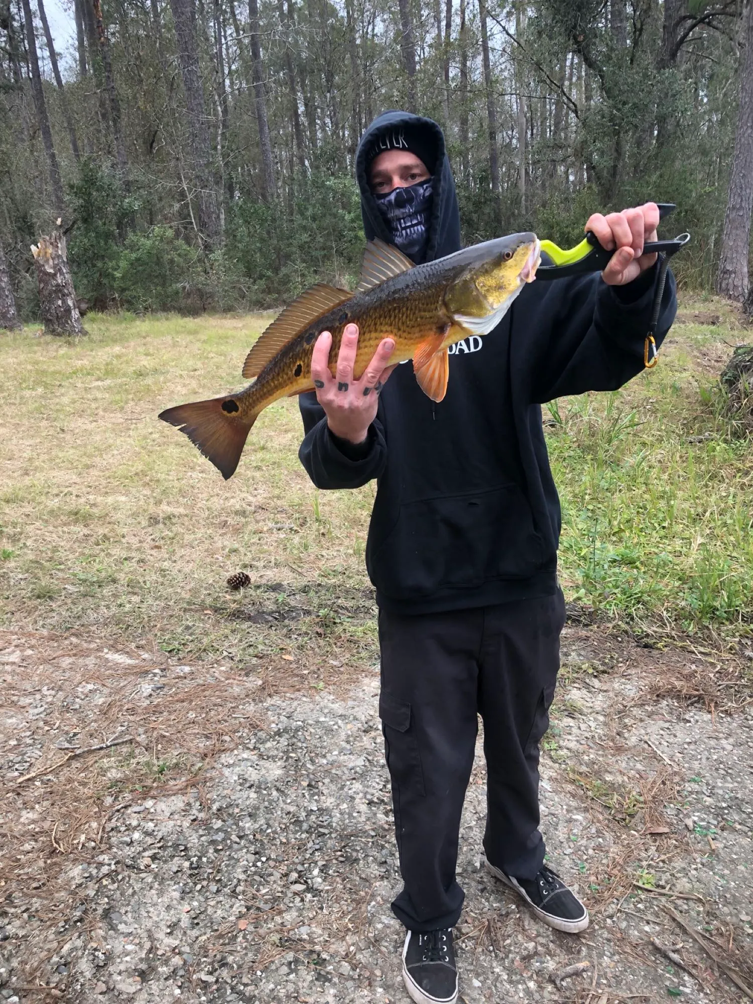 Post image from rjozef