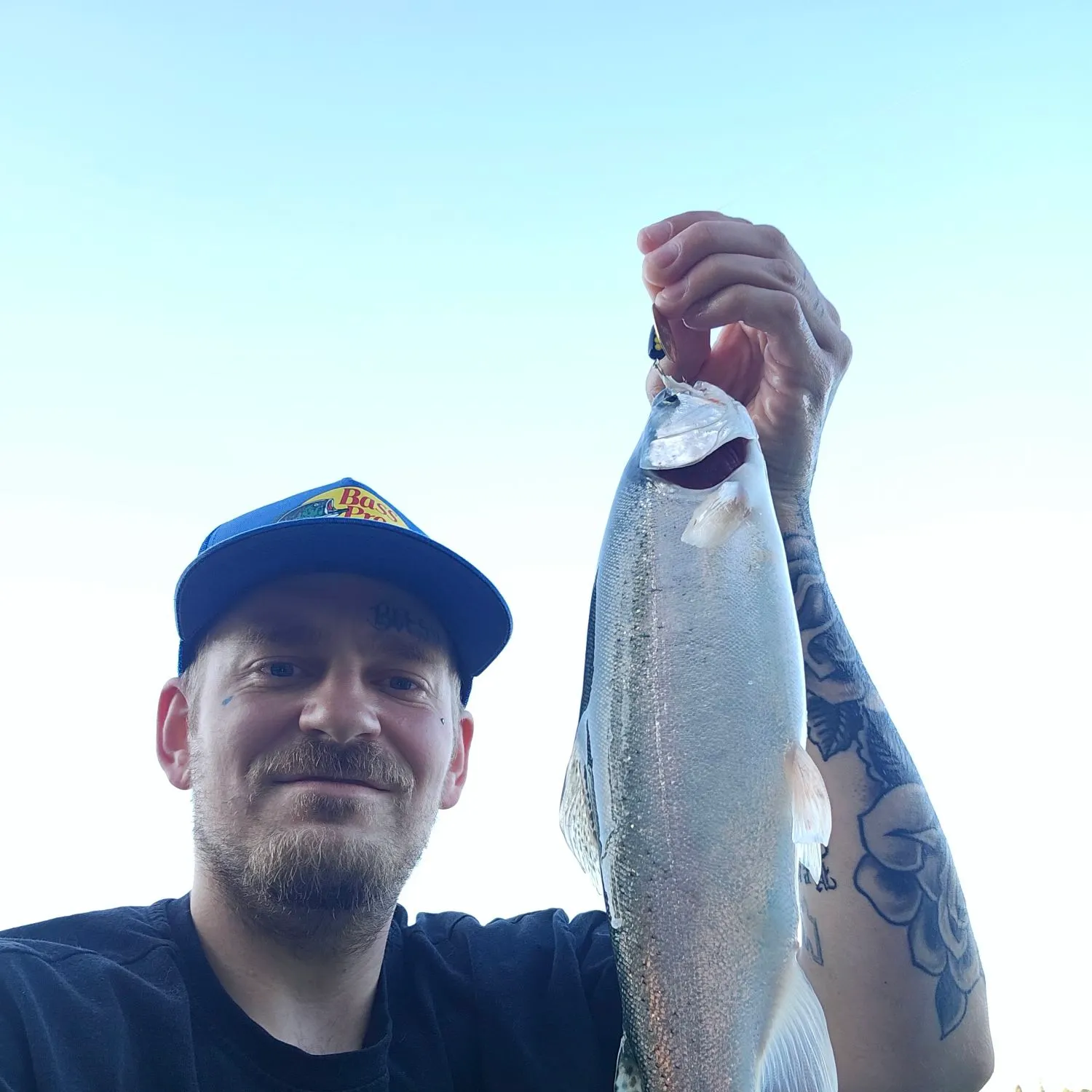 Rainbow trout caught on Fishbrain