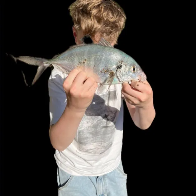 White trevally caught on Fishbrain