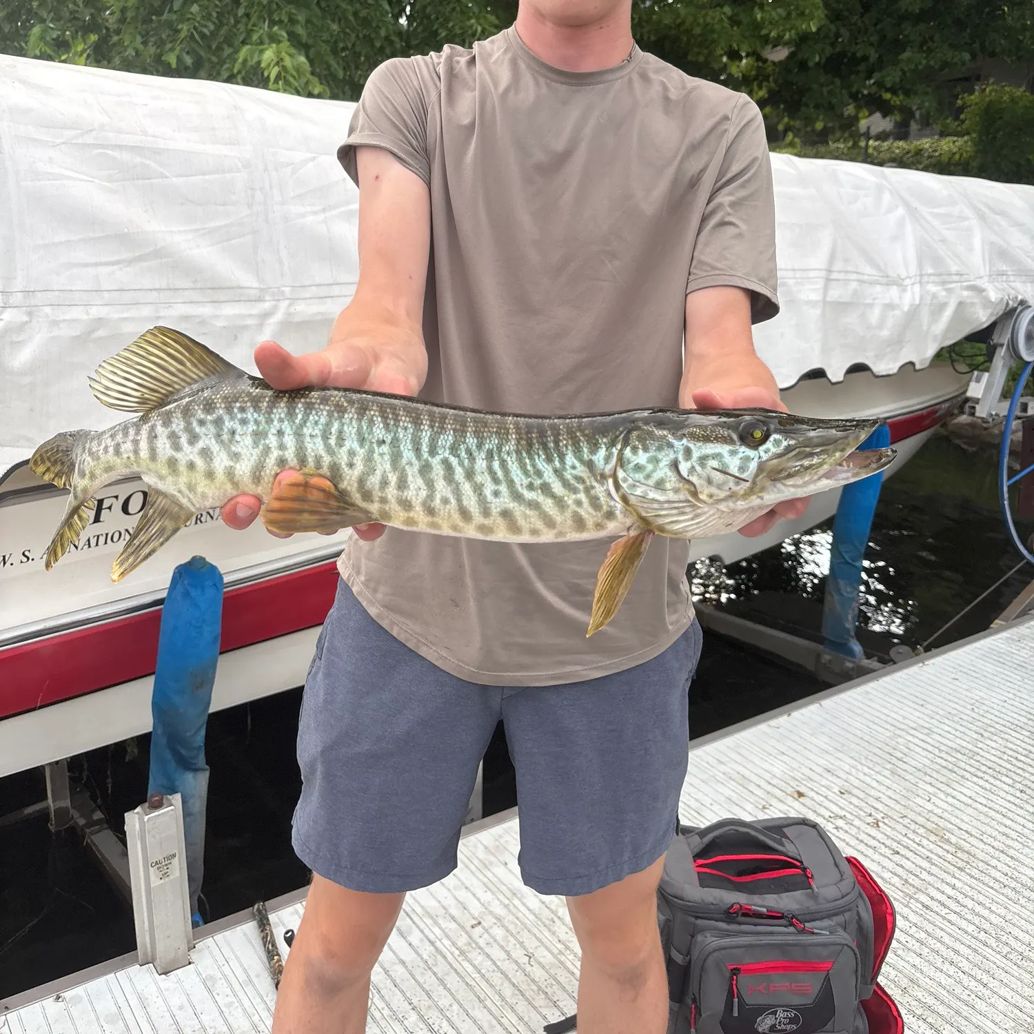 The most recent Tiger muskellunge catches on Fishbrain