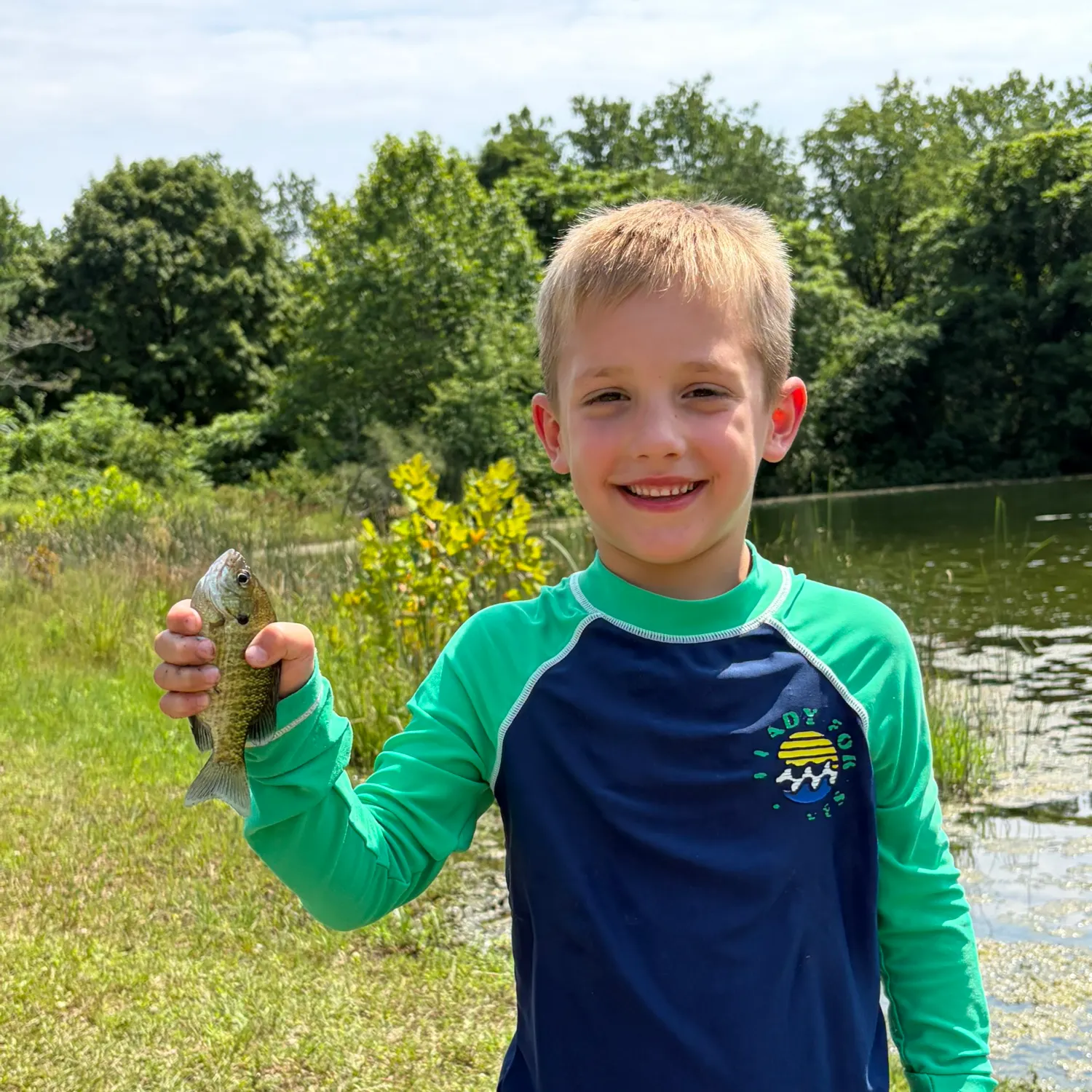 Bluegill caught on Fishbrain