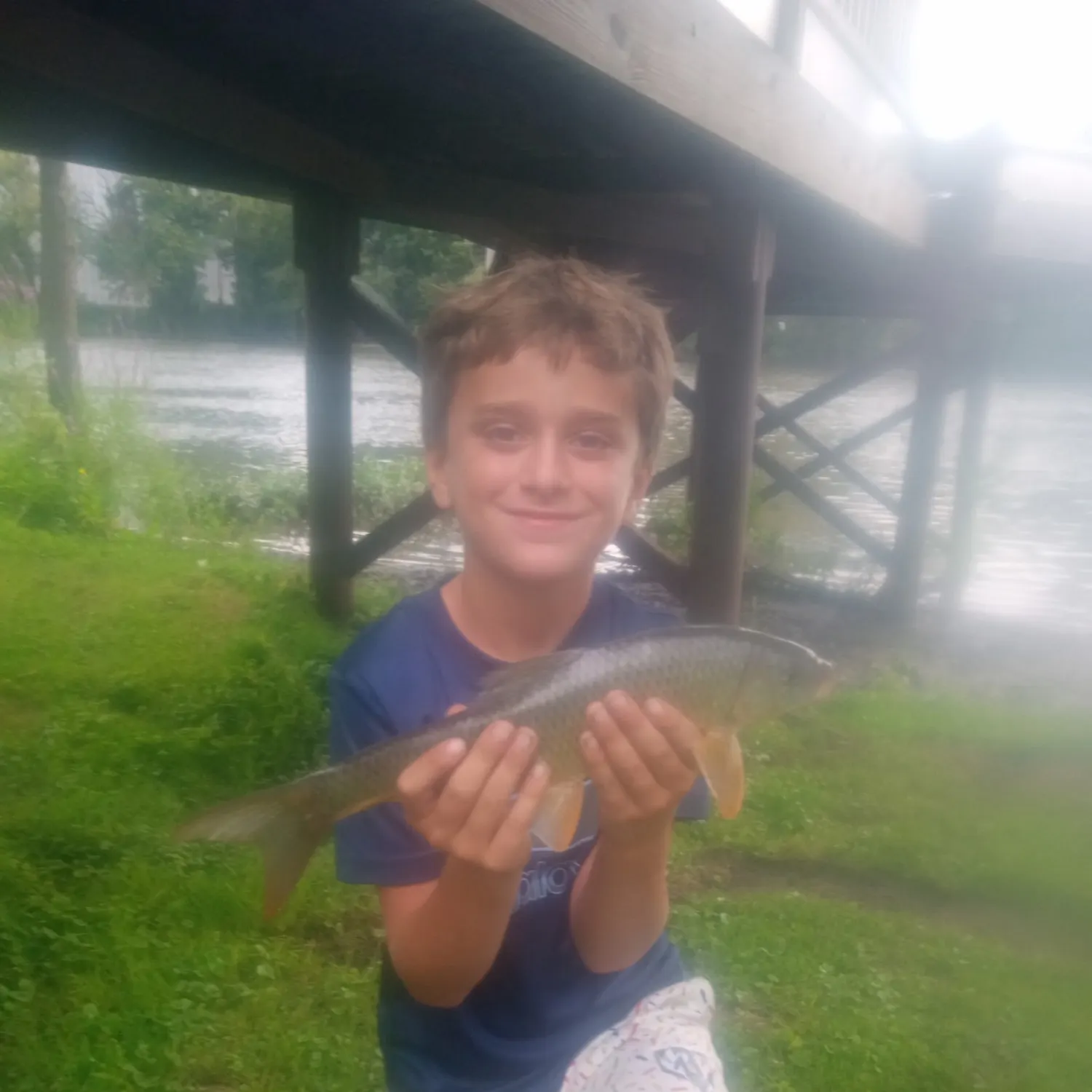 The most recent Shorthead redhorse catches on Fishbrain
