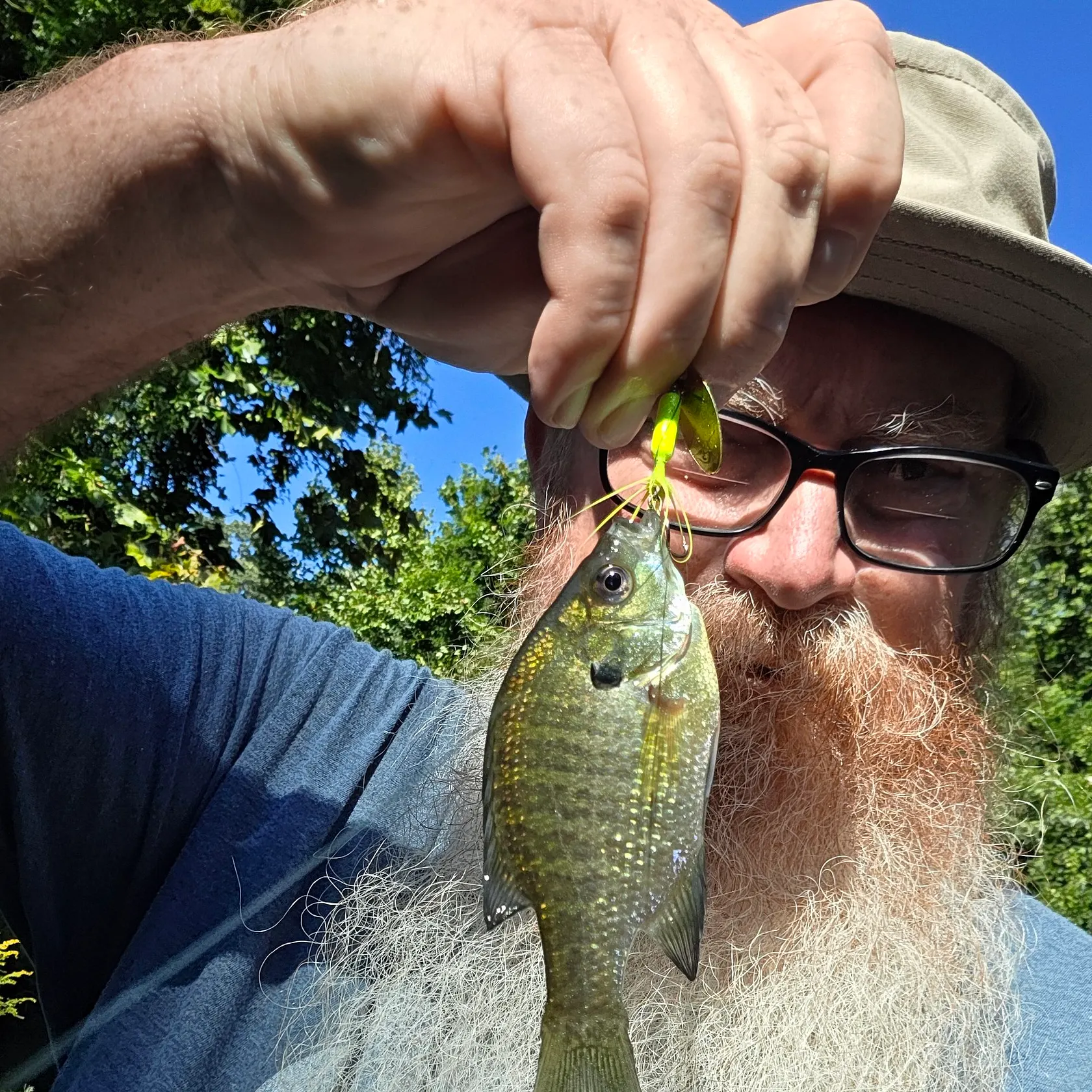 Bluegill caught on Fishbrain