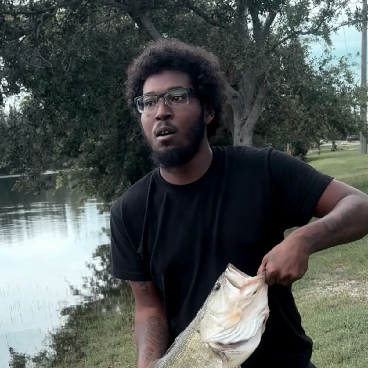 Largemouth bass caught on Fishbrain