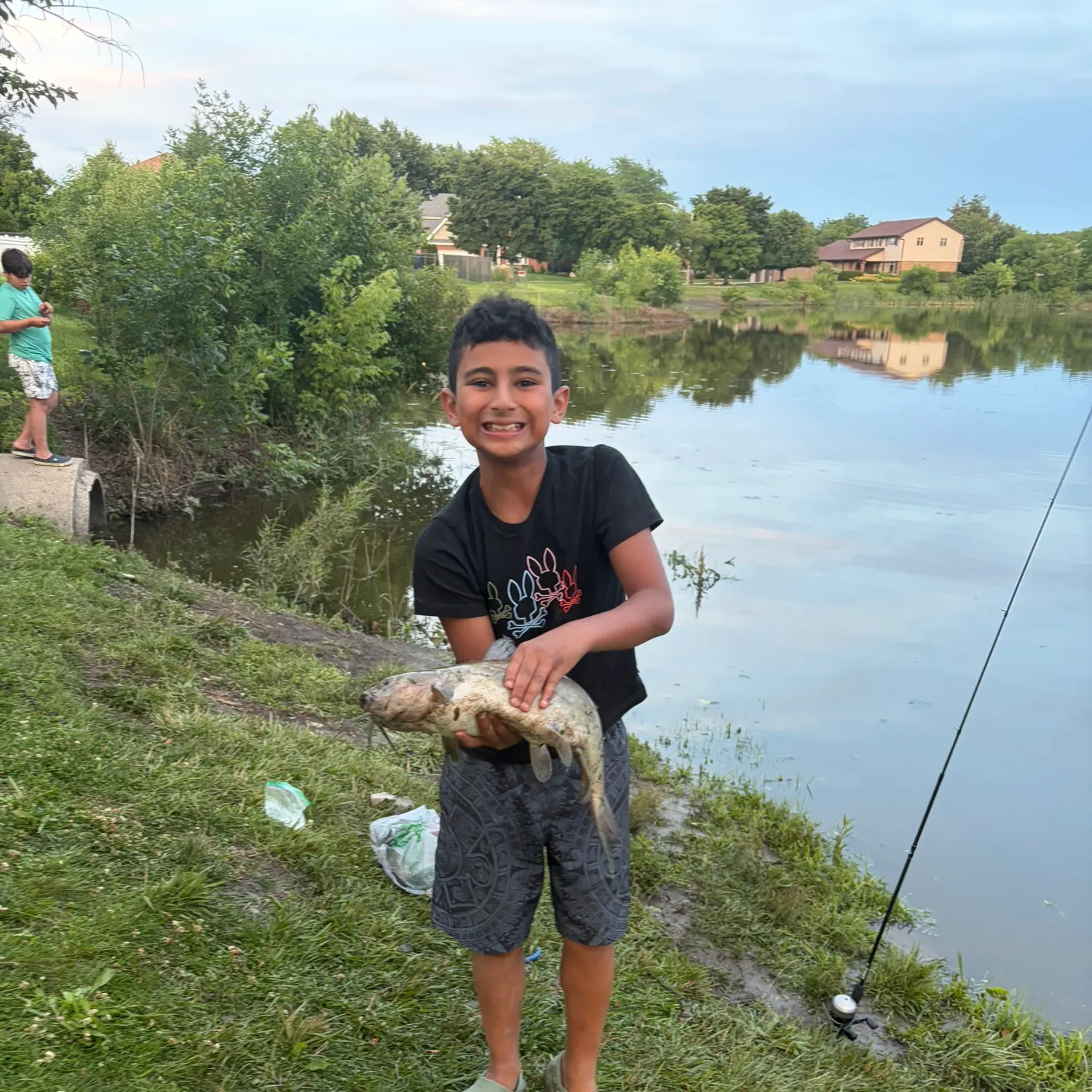 The most recent Flatwhiskered catfish catches on Fishbrain