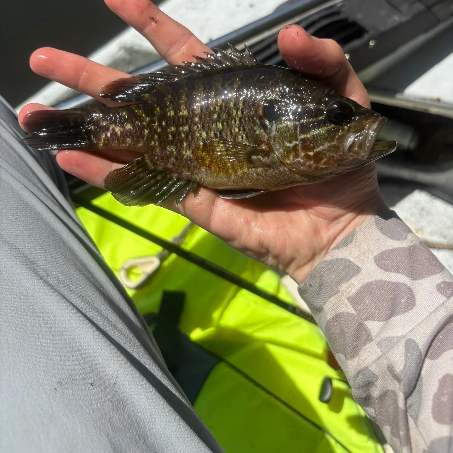 catch