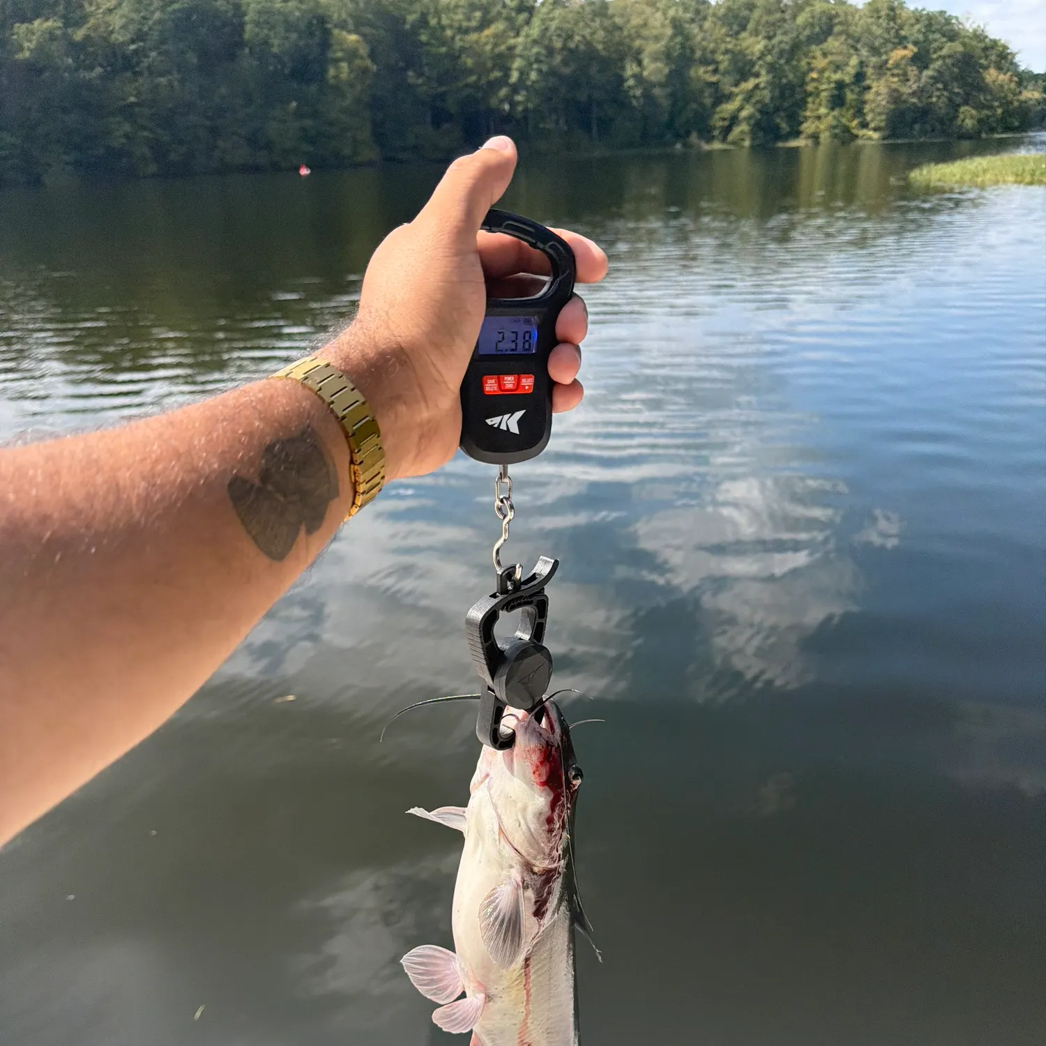 catch