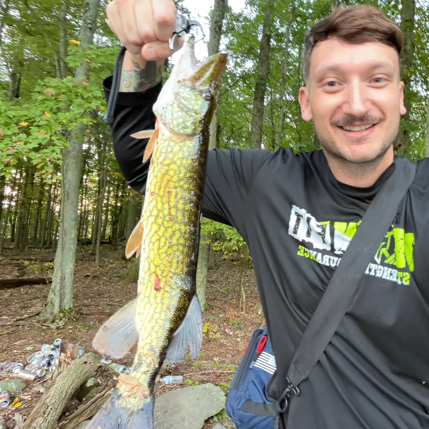 Chain pickerel caught on Fishbrain