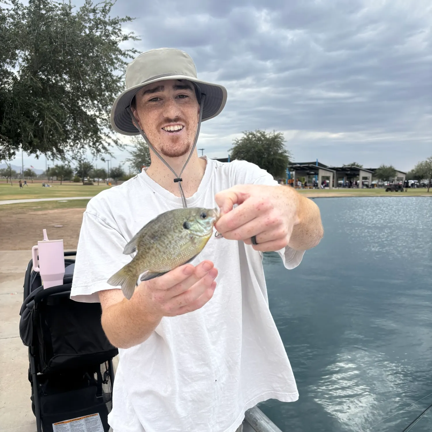 Bluegill caught on Fishbrain