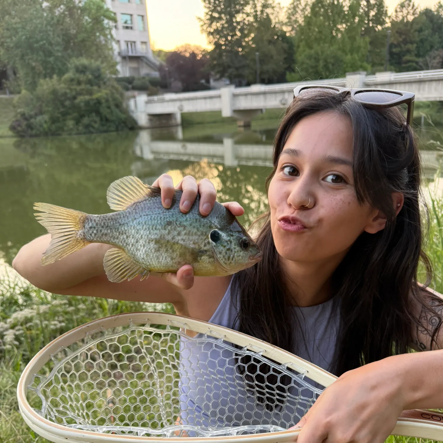 catch