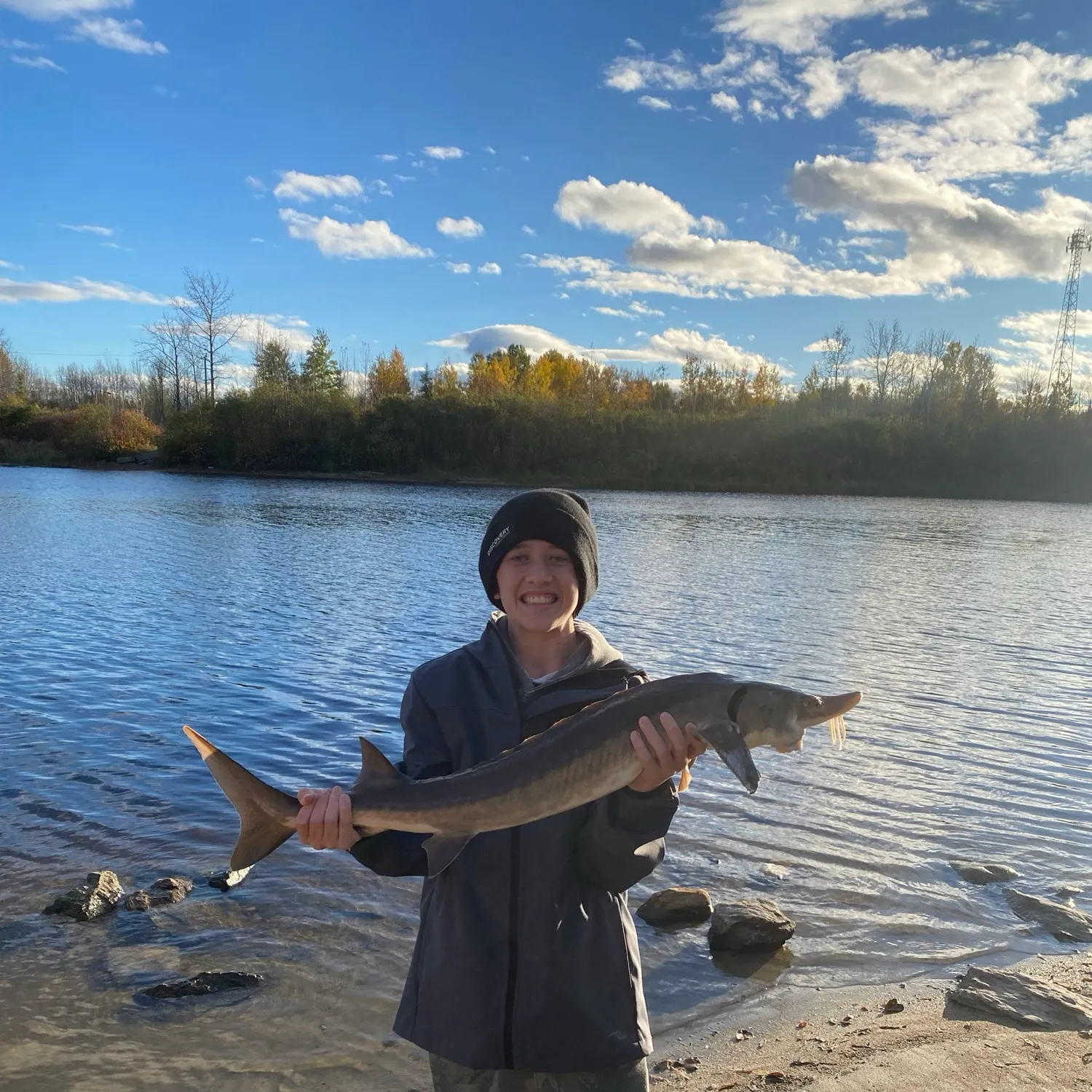Lake sturgeon caught on Fishbrain