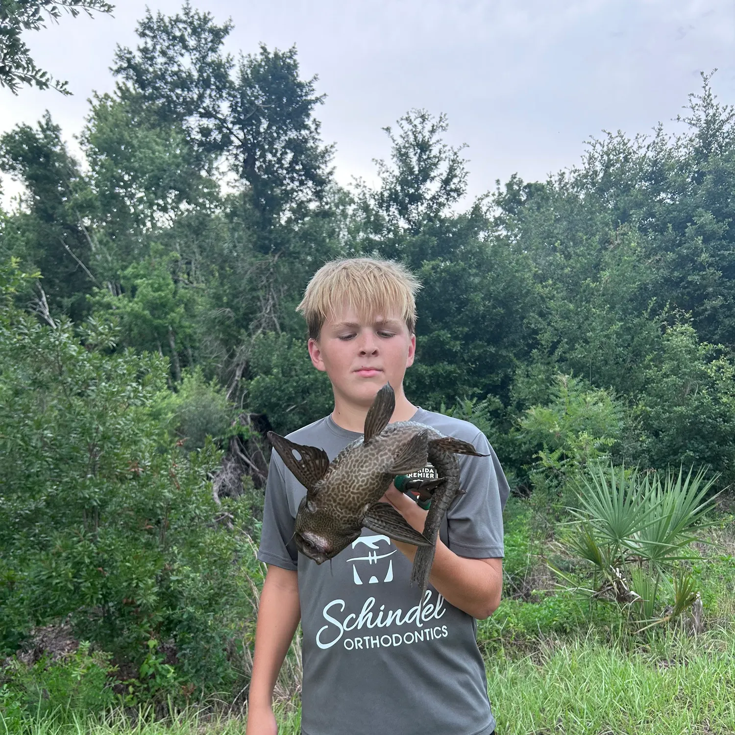 The most recent Suckermouth catfish catches on Fishbrain