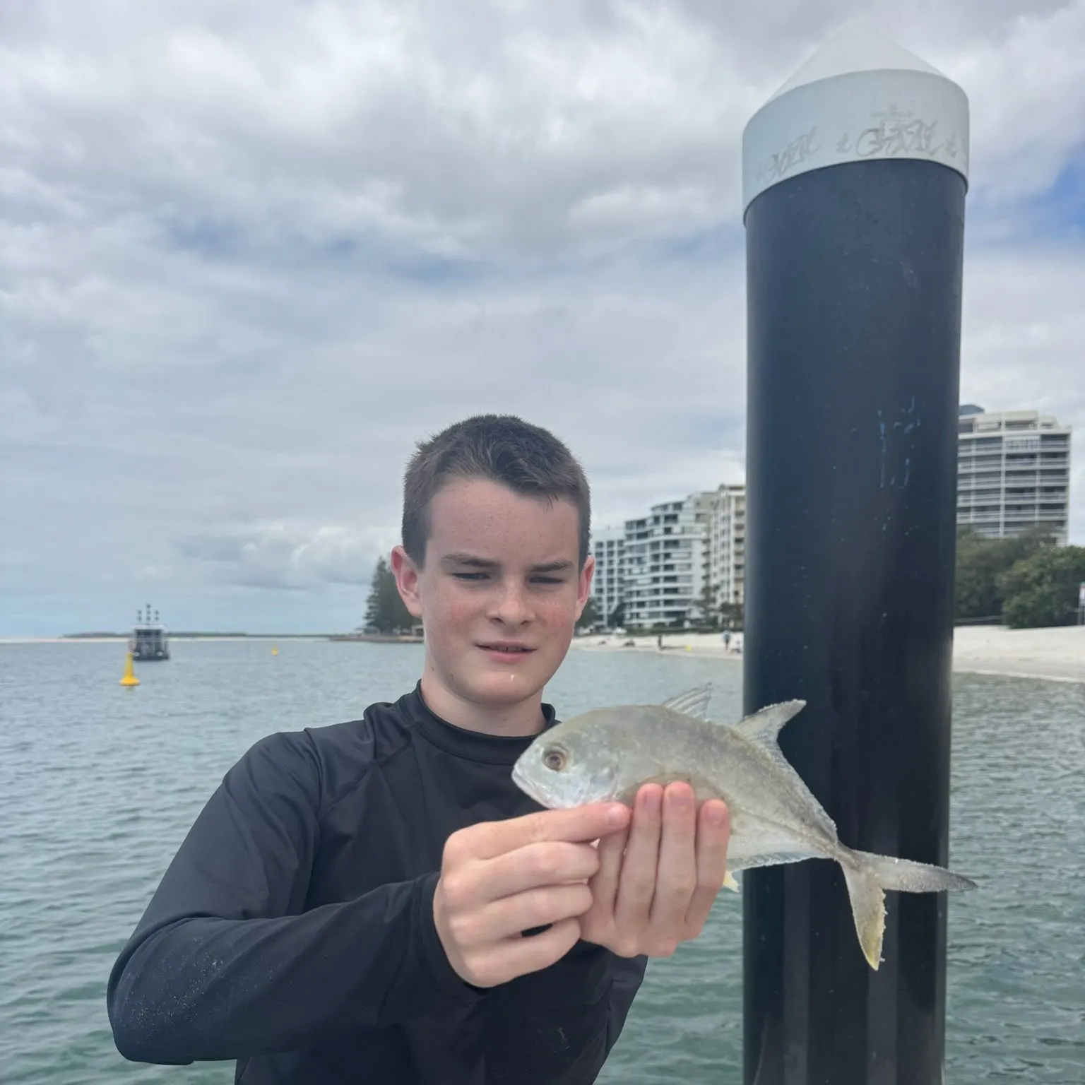 The most recent Brassy trevally catches on Fishbrain