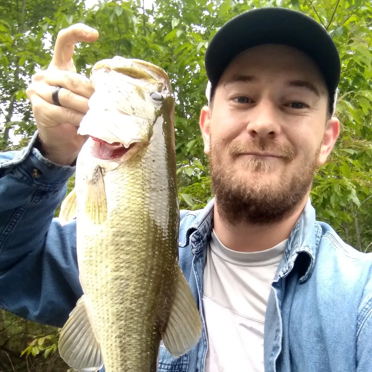 angler catch