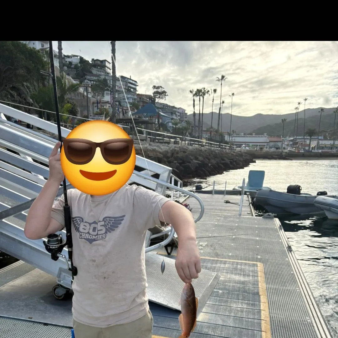 The most recent Señorita catches on Fishbrain