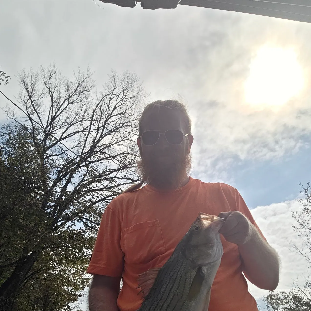 Wiper caught on Fishbrain