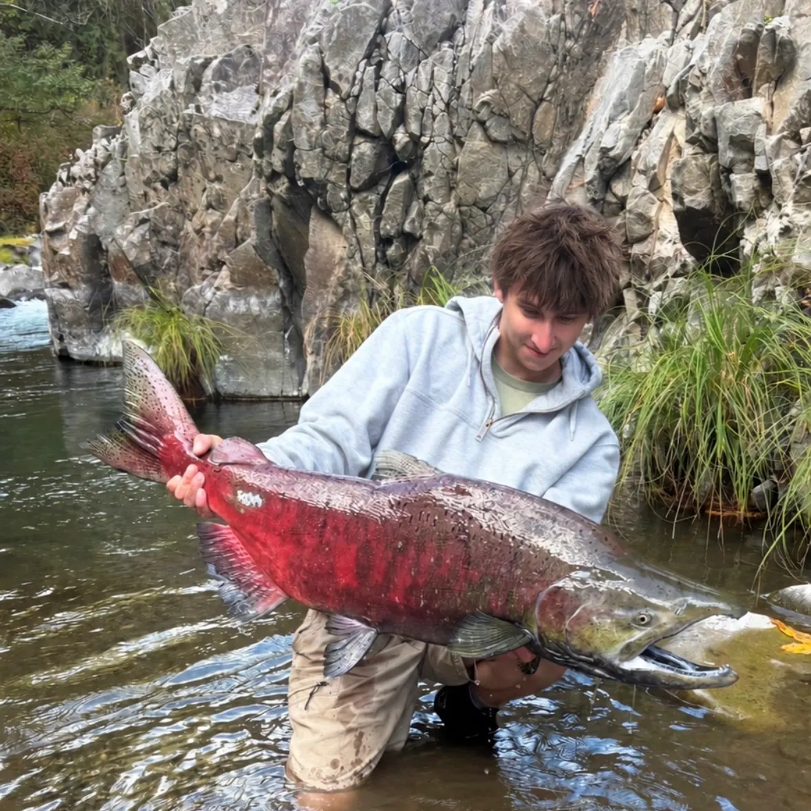Chinook salmon caught on Fishbrain
