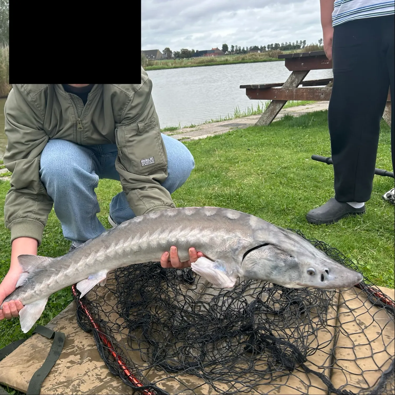 Russian sturgeon caught on Fishbrain