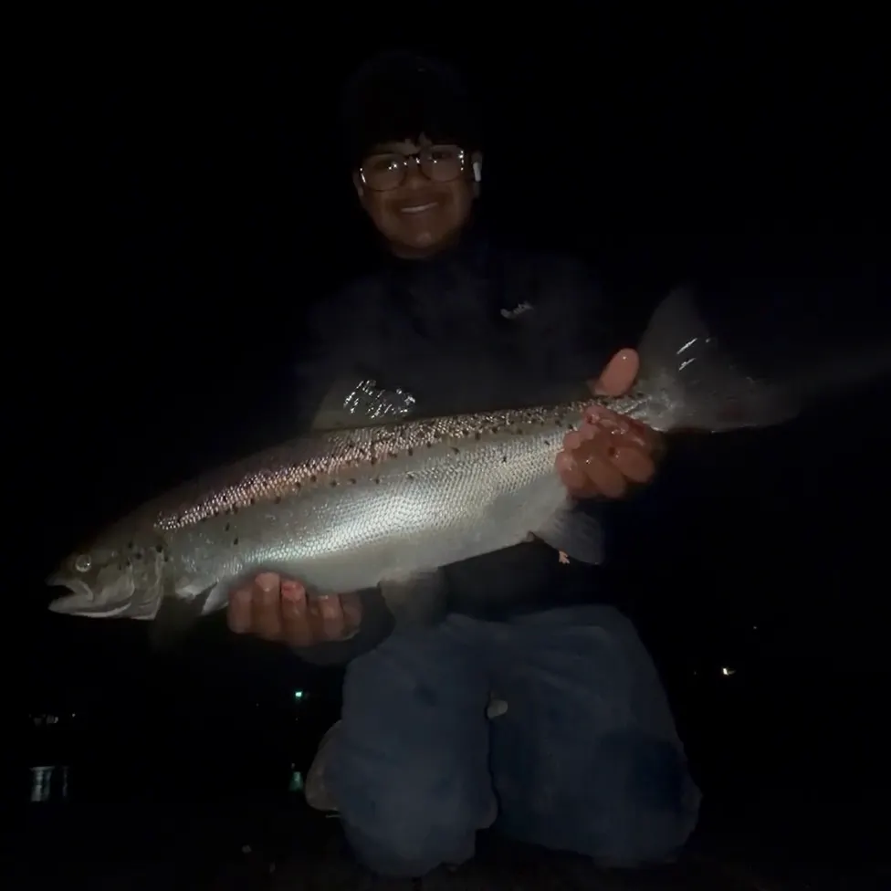 Fish caught on Fishbrain