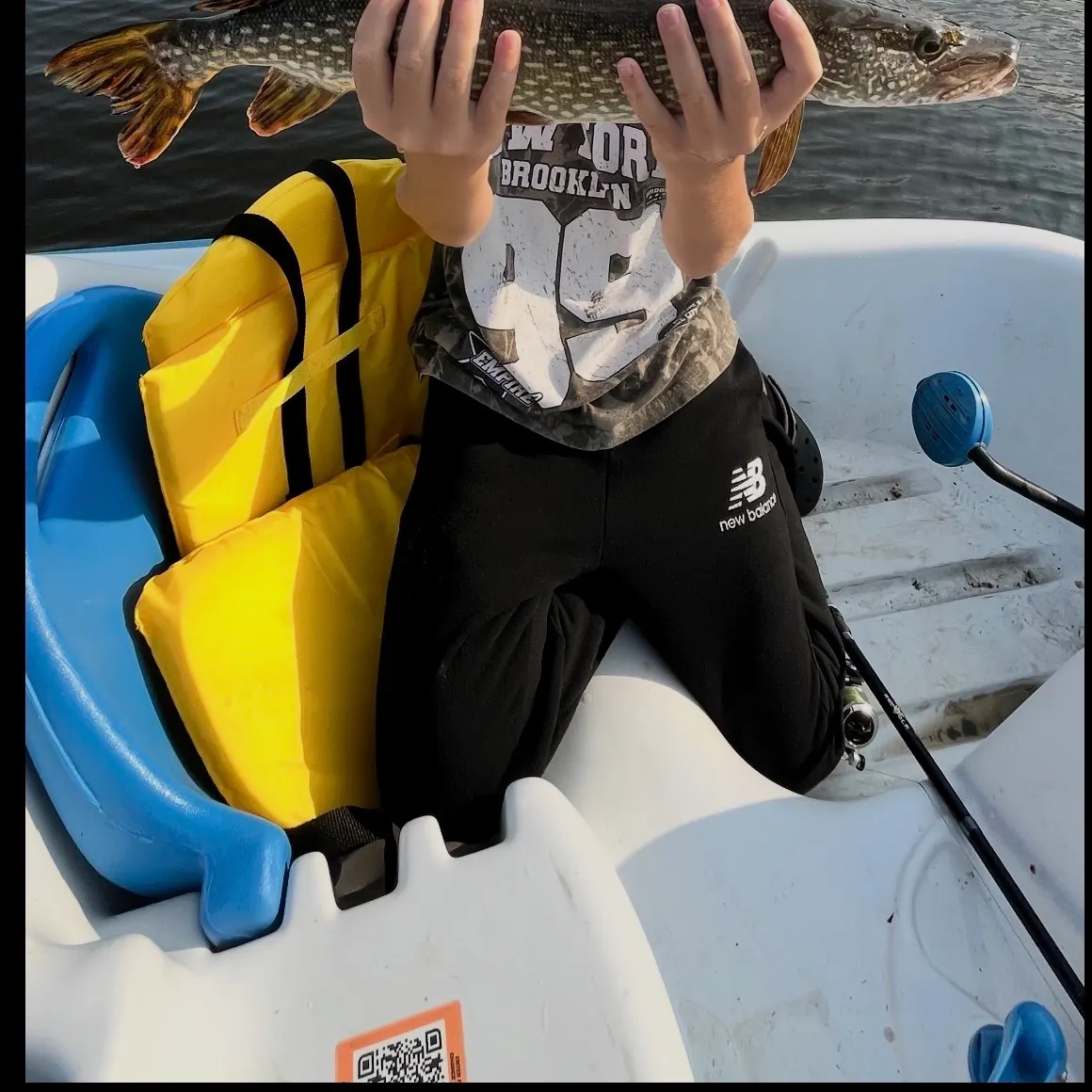 Northern pike caught on Fishbrain