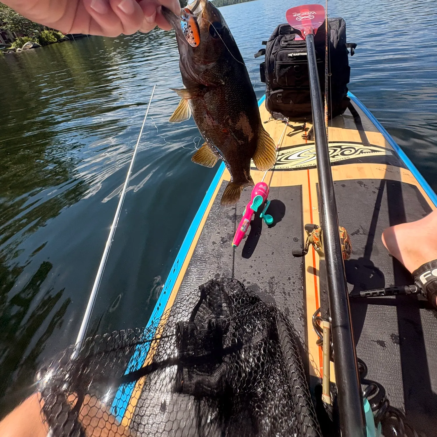 Smallmouth bass caught on Fishbrain