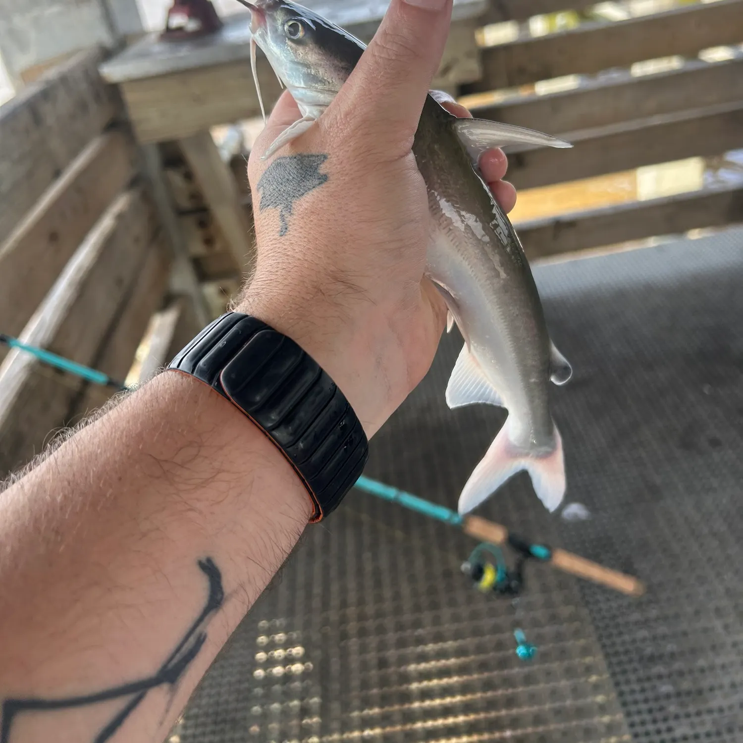 catch