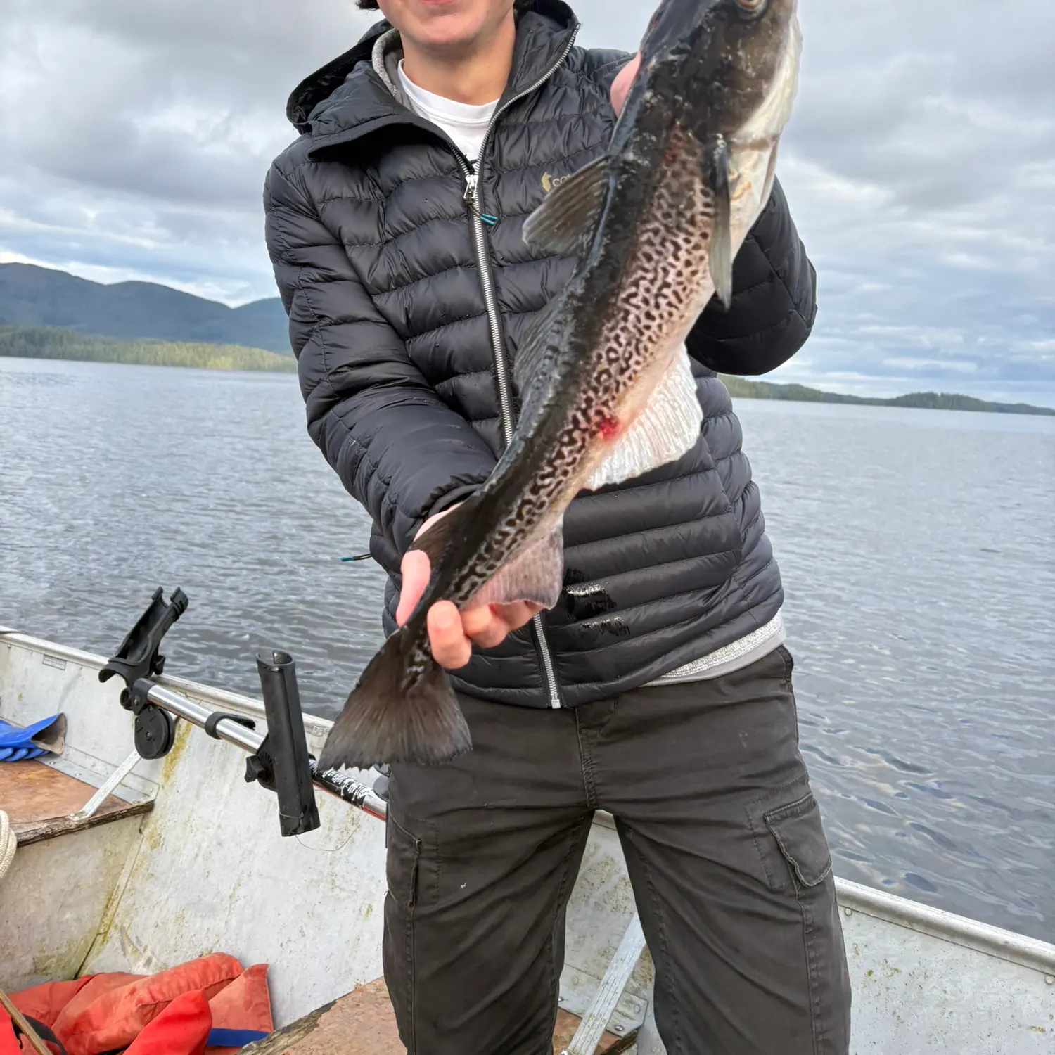 The most recent Sablefish catches on Fishbrain
