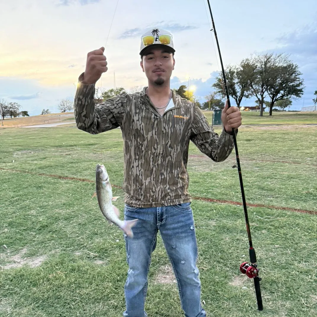 Channel catfish caught on Fishbrain