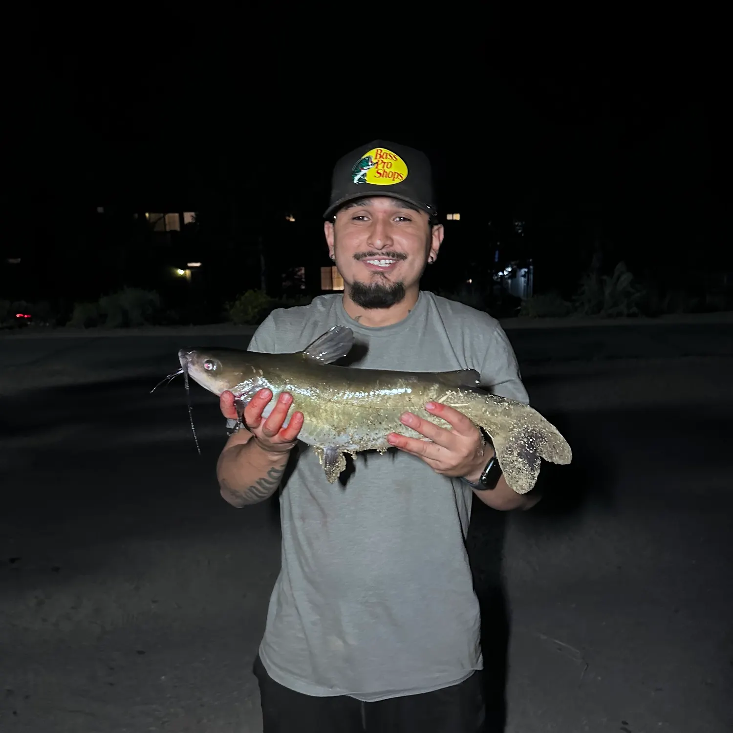 Channel catfish caught on Fishbrain
