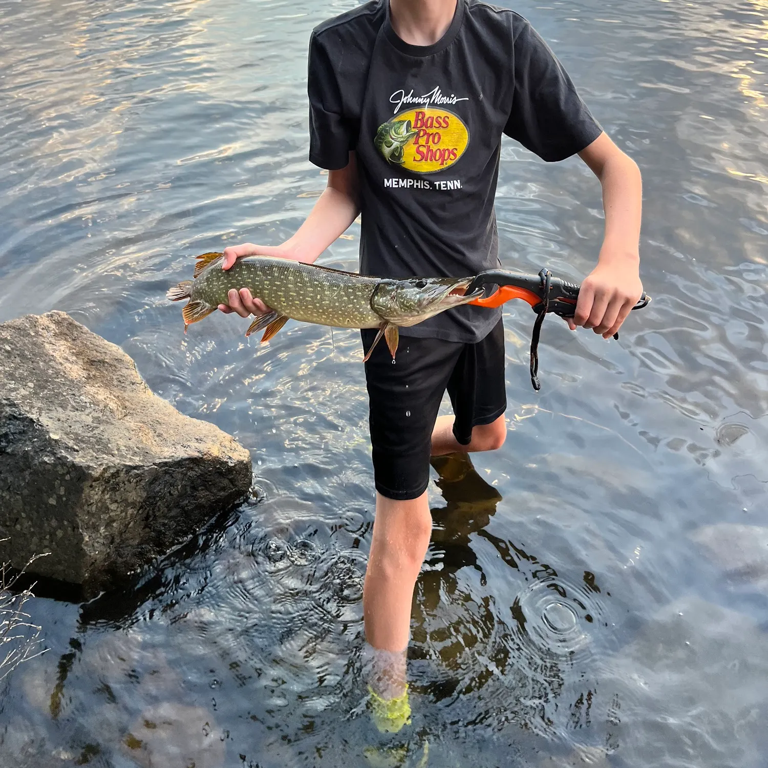 Northern pike caught on Fishbrain