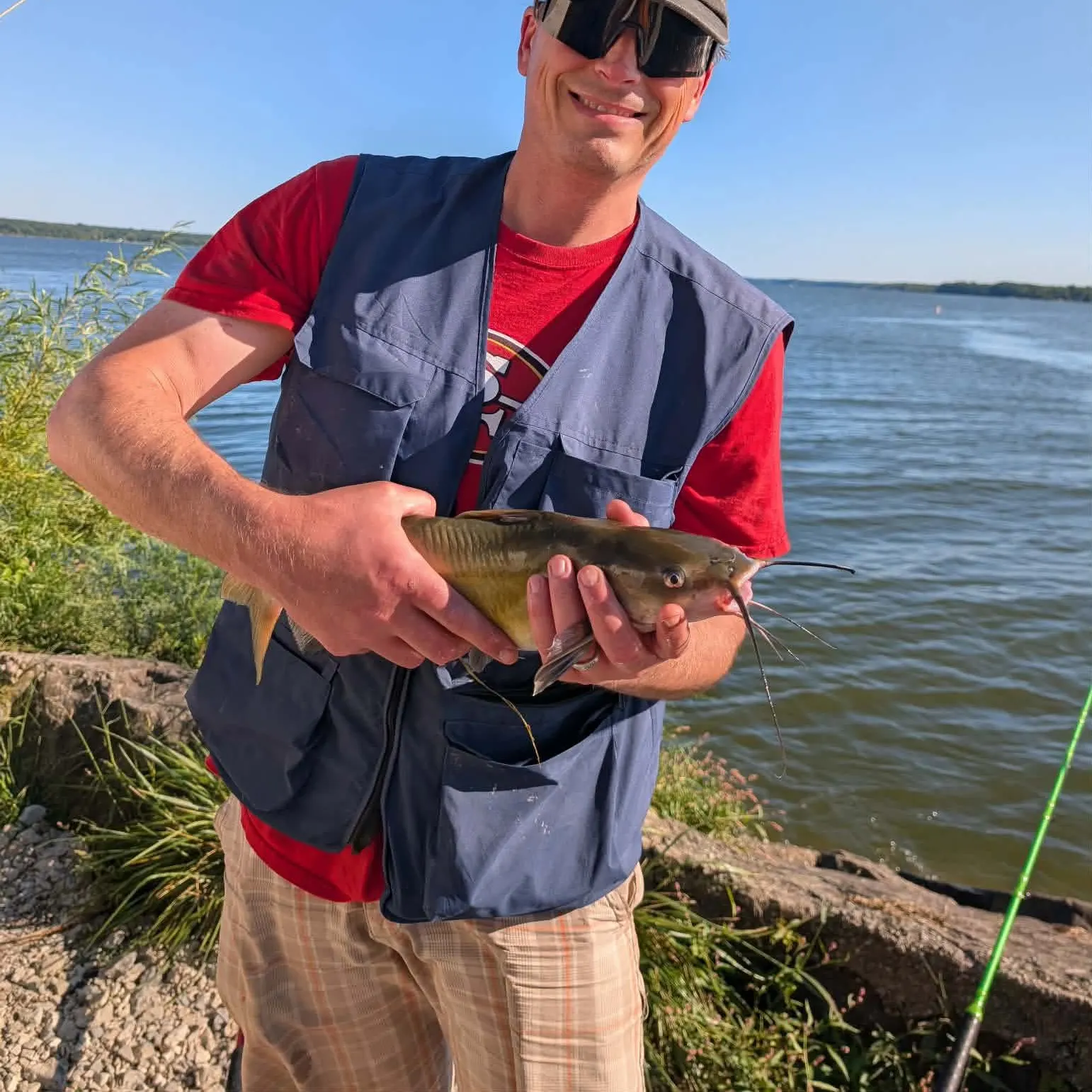 Channel catfish caught on Fishbrain