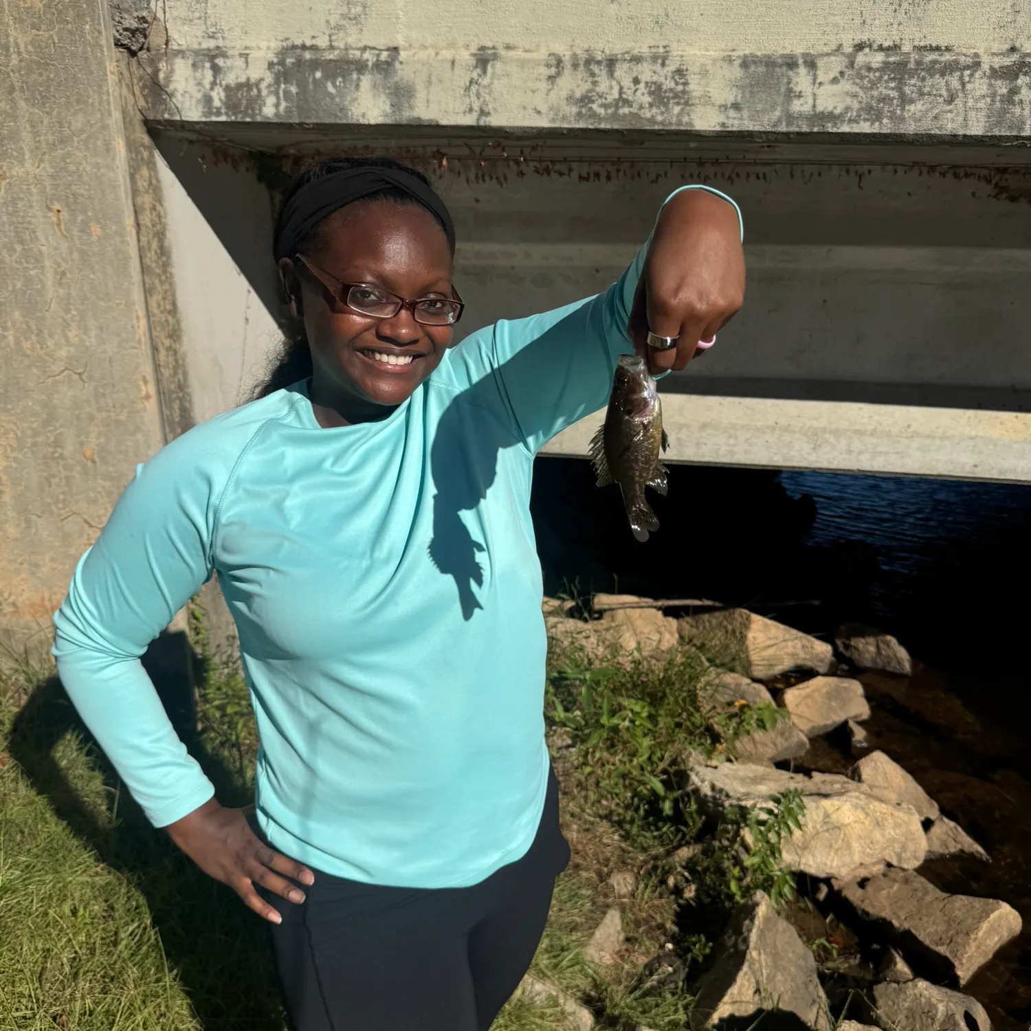 Rock bass caught on Fishbrain