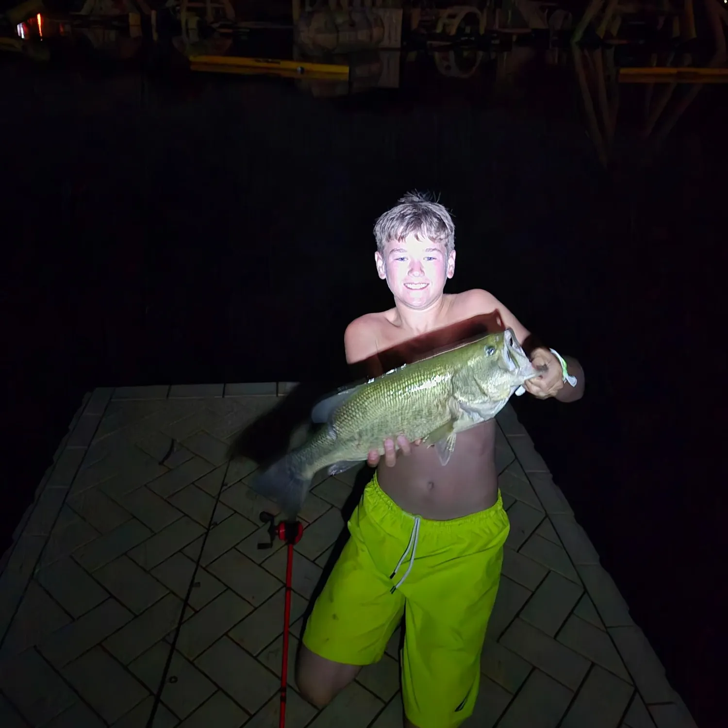 Largemouth bass caught on Fishbrain