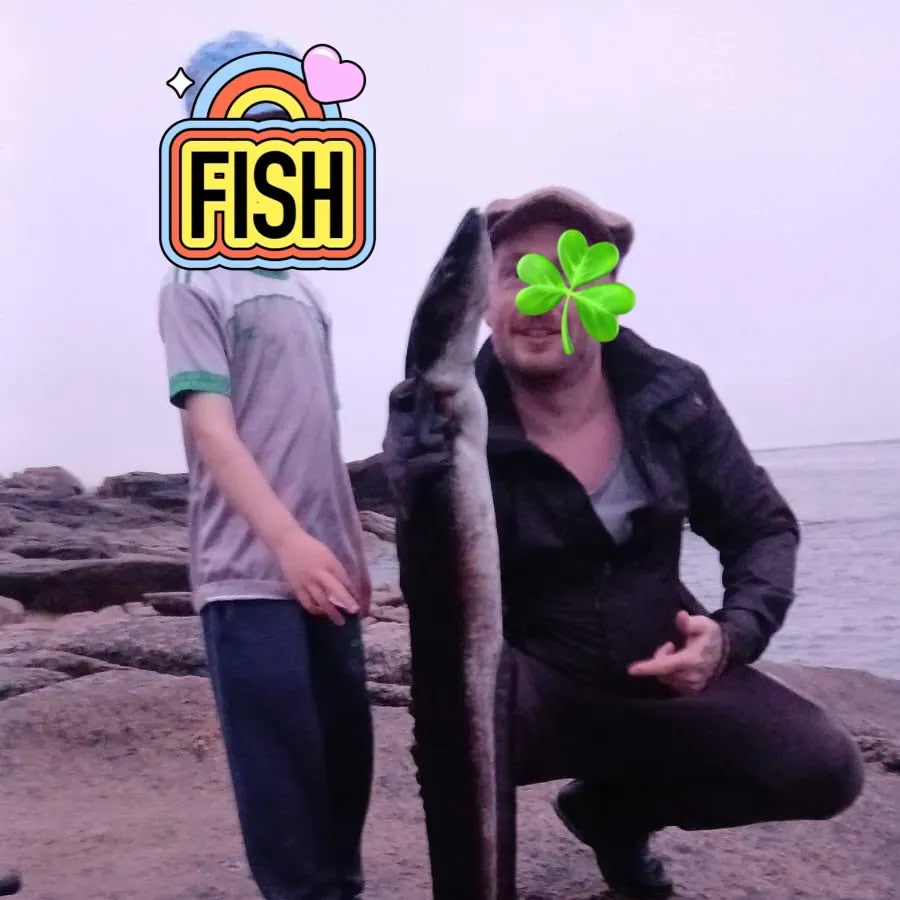 The most recent European conger catches on Fishbrain