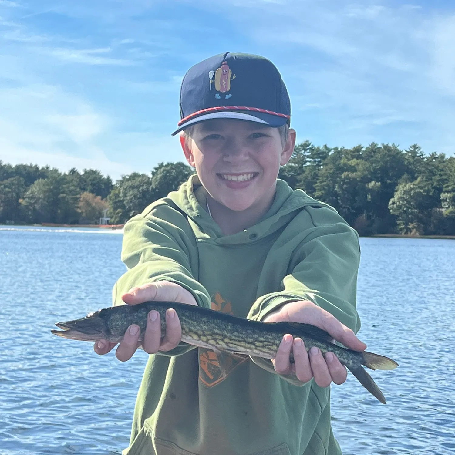 Chain pickerel caught on Fishbrain