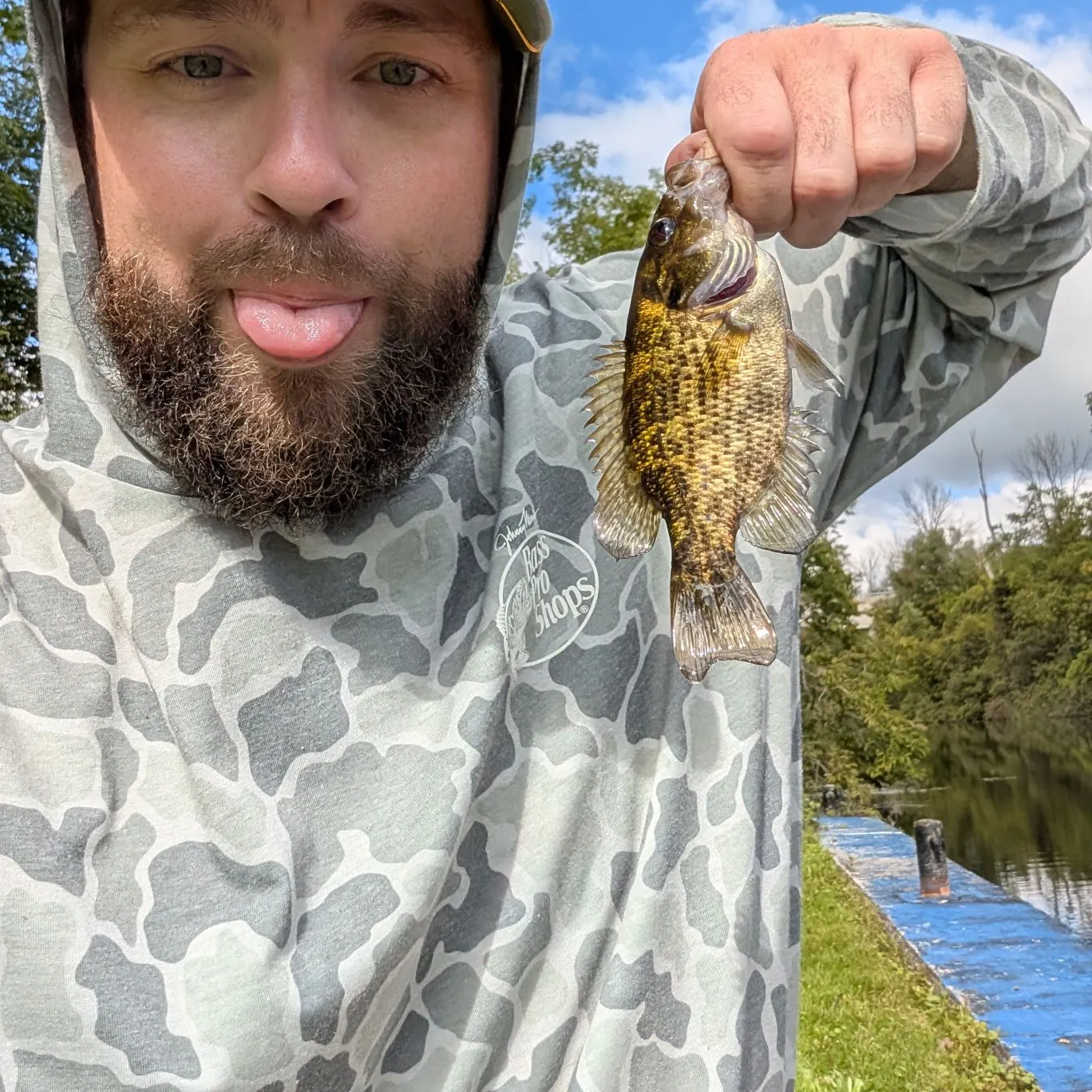 Rock bass caught on Fishbrain
