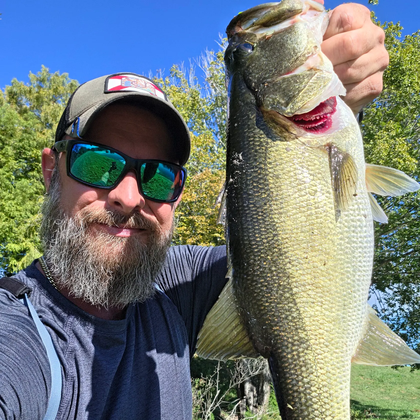 Largemouth bass caught on Fishbrain