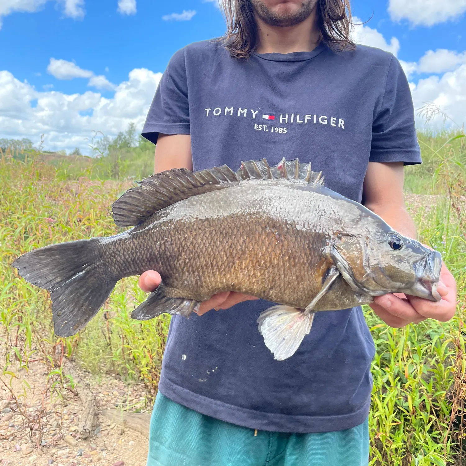 The most recent Sooty grunter catches on Fishbrain