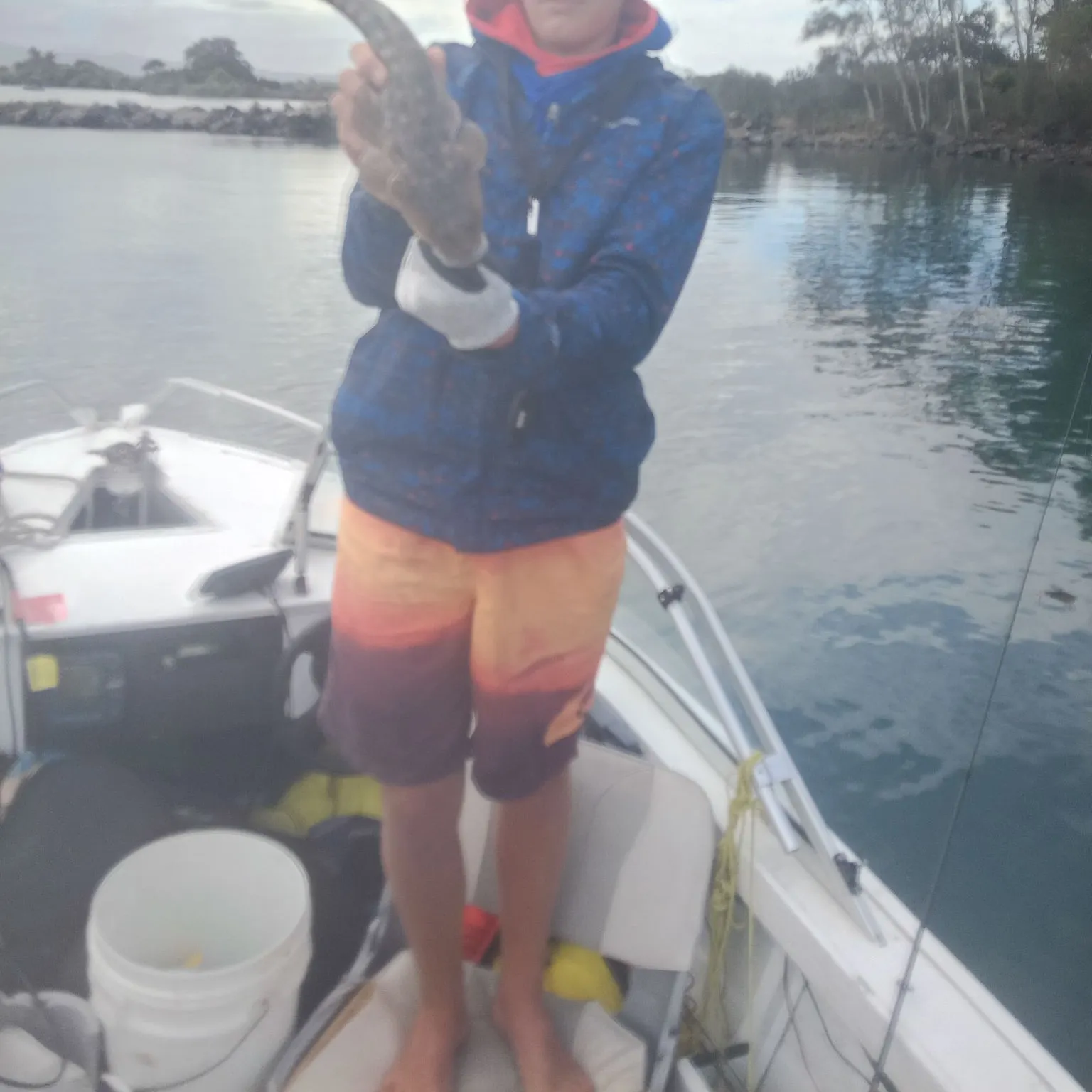 Dusky flathead caught on Fishbrain