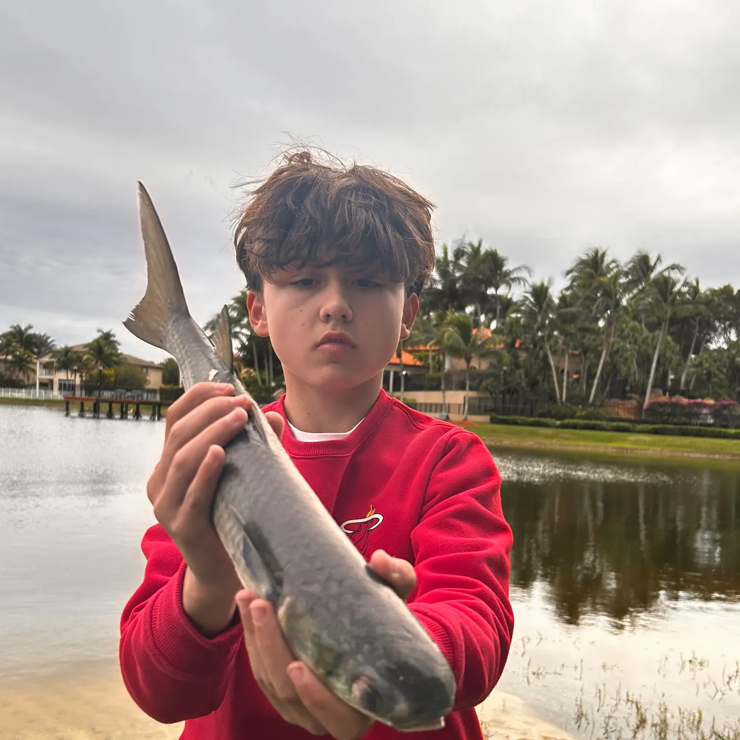 The most recent Striped mullet catches on Fishbrain