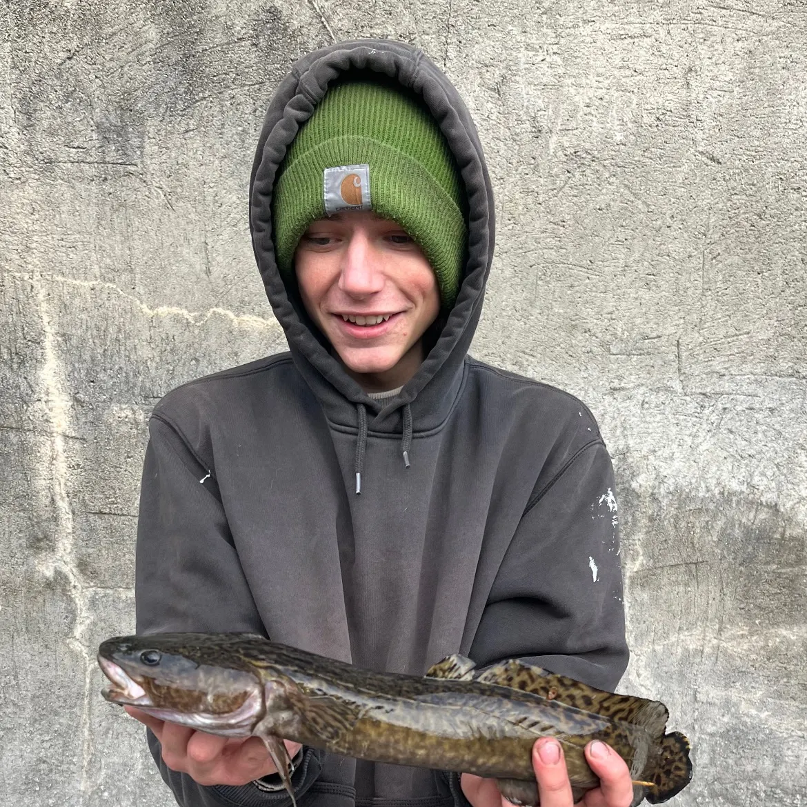The most recent Burbot catches on Fishbrain