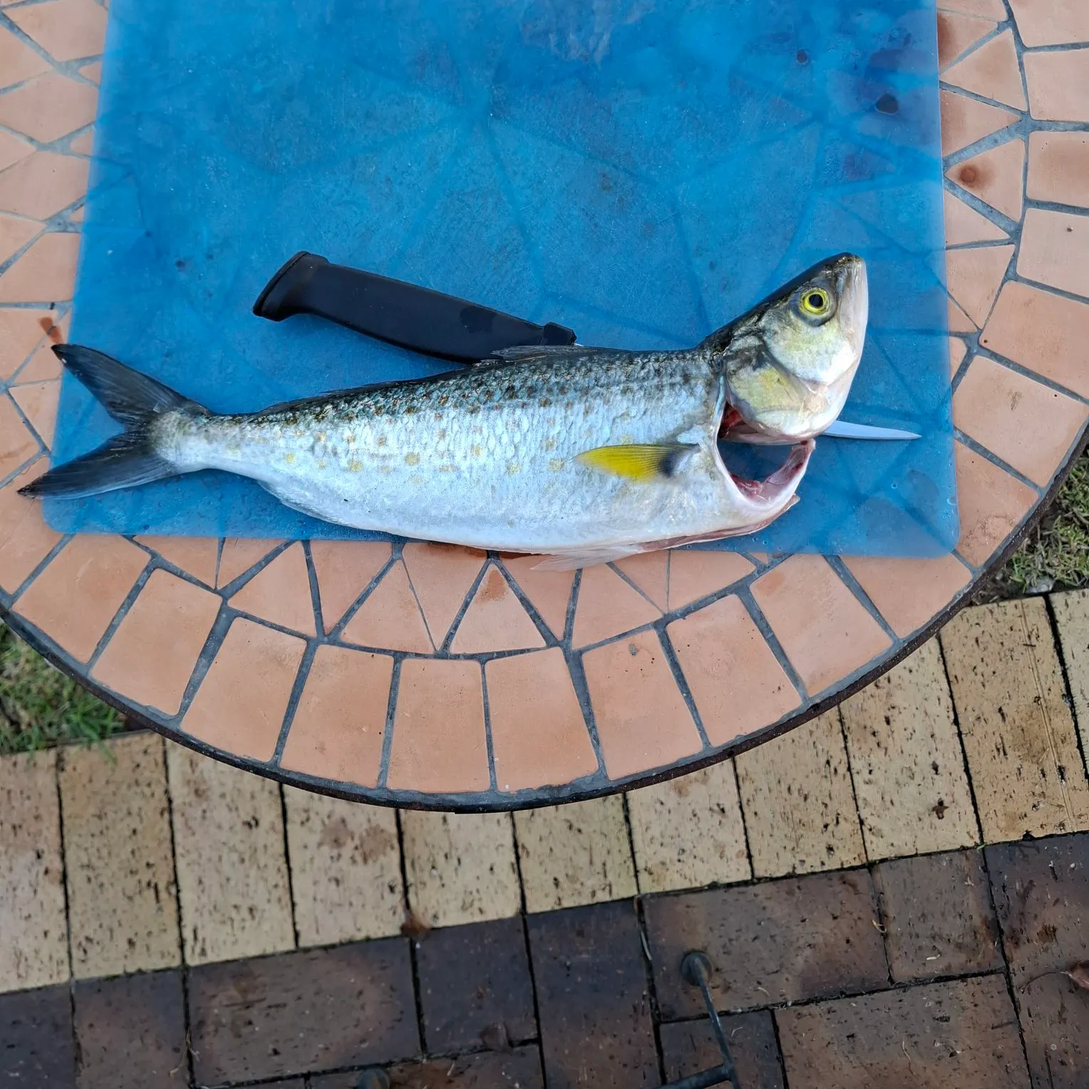 most liked catch image
